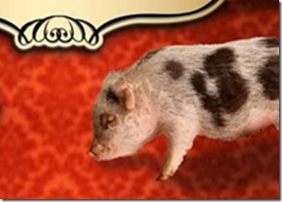The Island of the Voices: The Christmas Pig